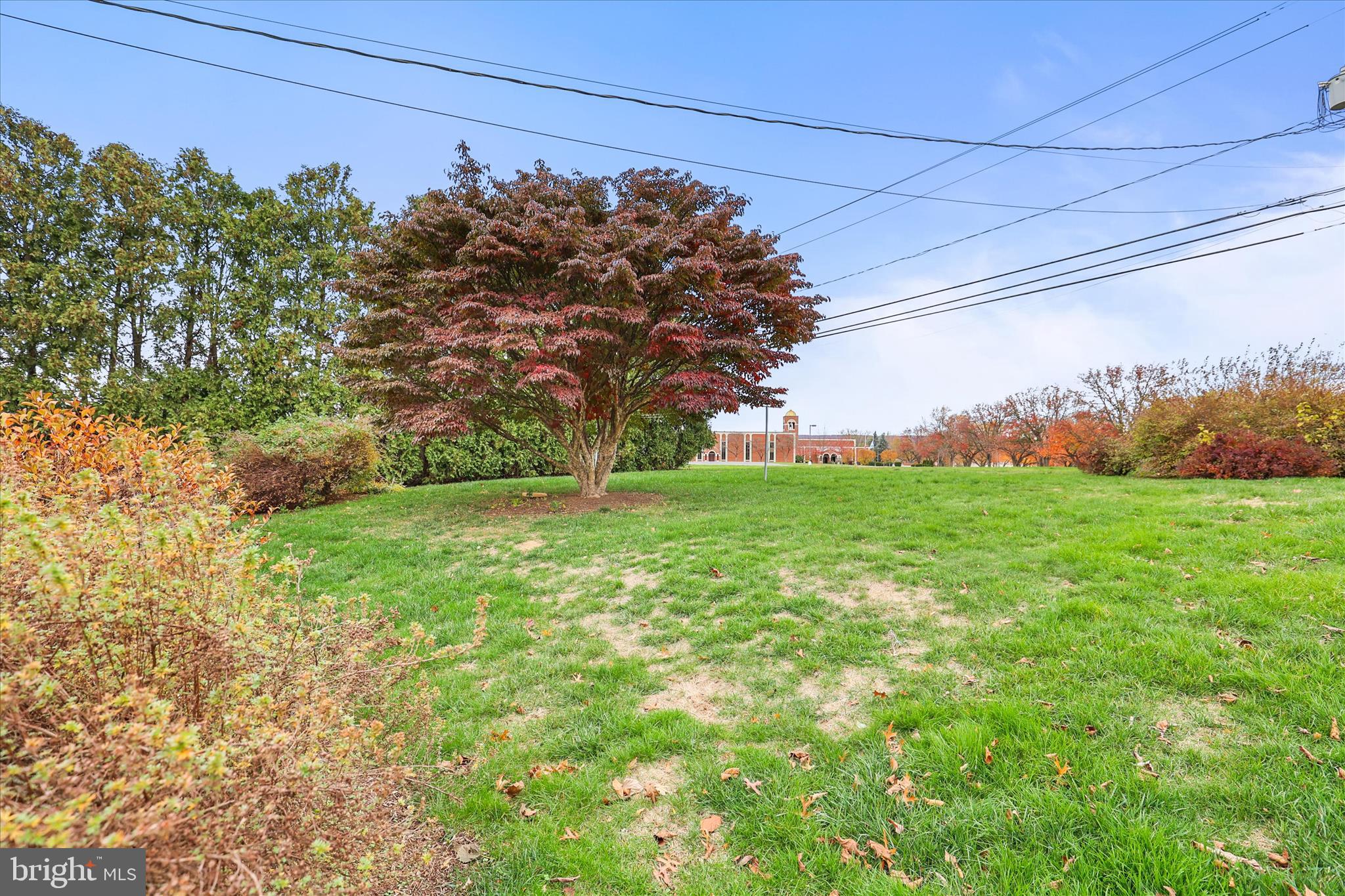 531 Rupley Road Camp Hill, PA 17011 - Photo 29 of 36 a backyard of a house with lots of green space