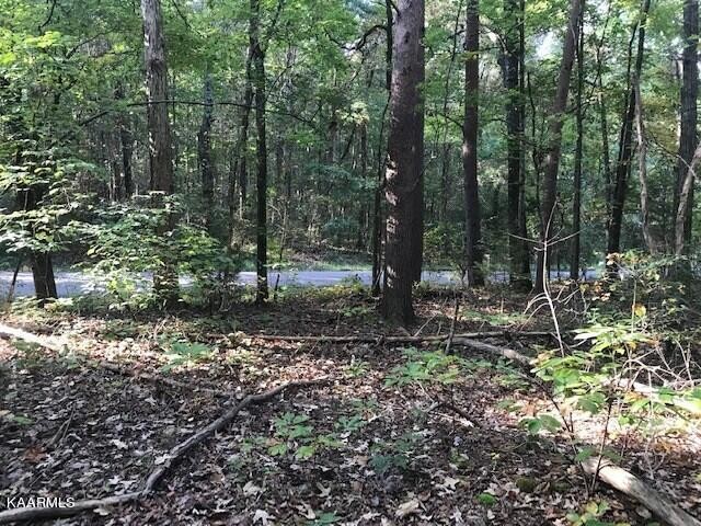 8 Mountain View Road Benton, TN 37307 - Photo 2 of 11