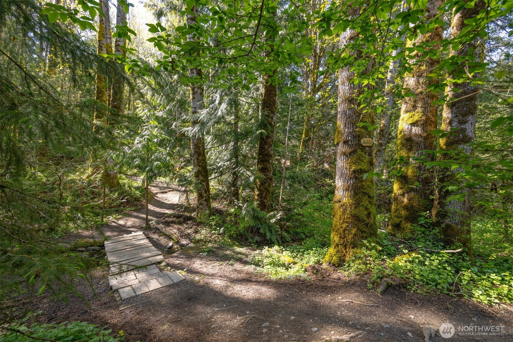 4106 Ridgewood Avenue Bellingham, WA 98229 - Photo 36 of 38 Gallery Image 36