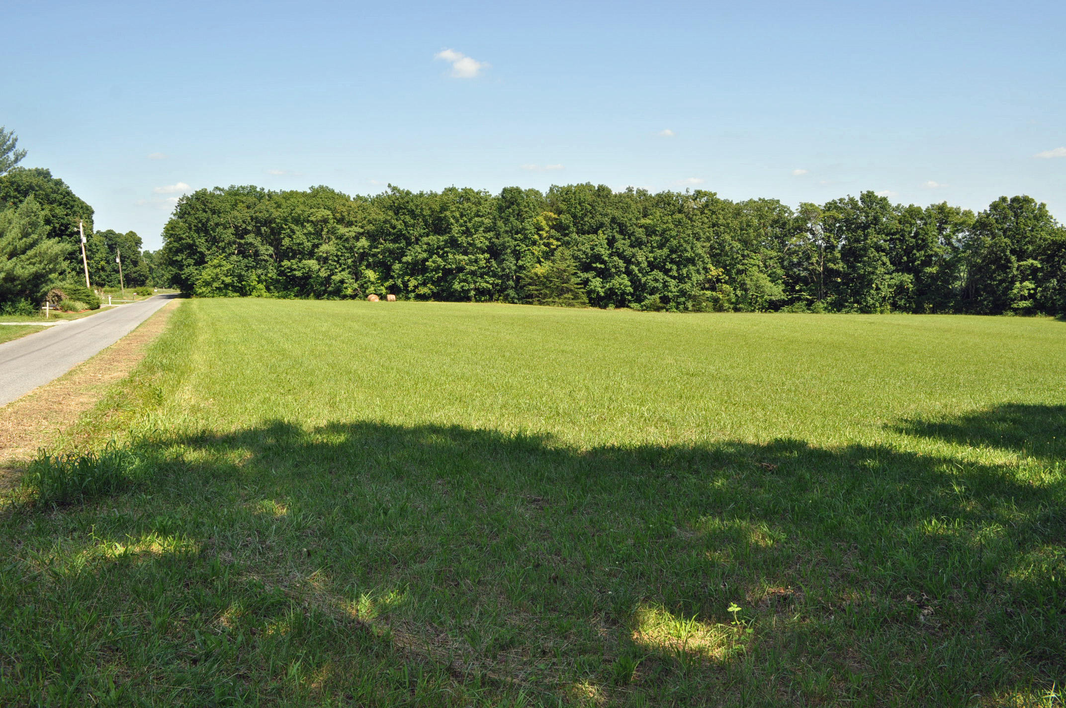 View from Road