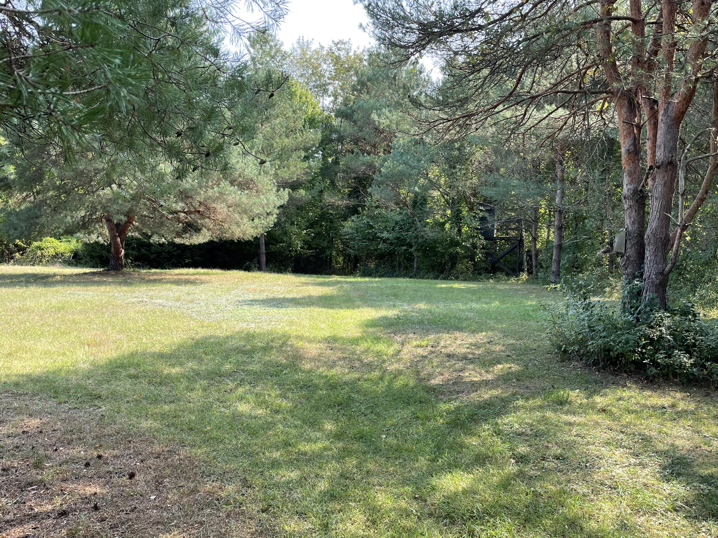 8934 State Road Fort Gratiot, MI 48059 - Photo 36 of 48 IMG_3066