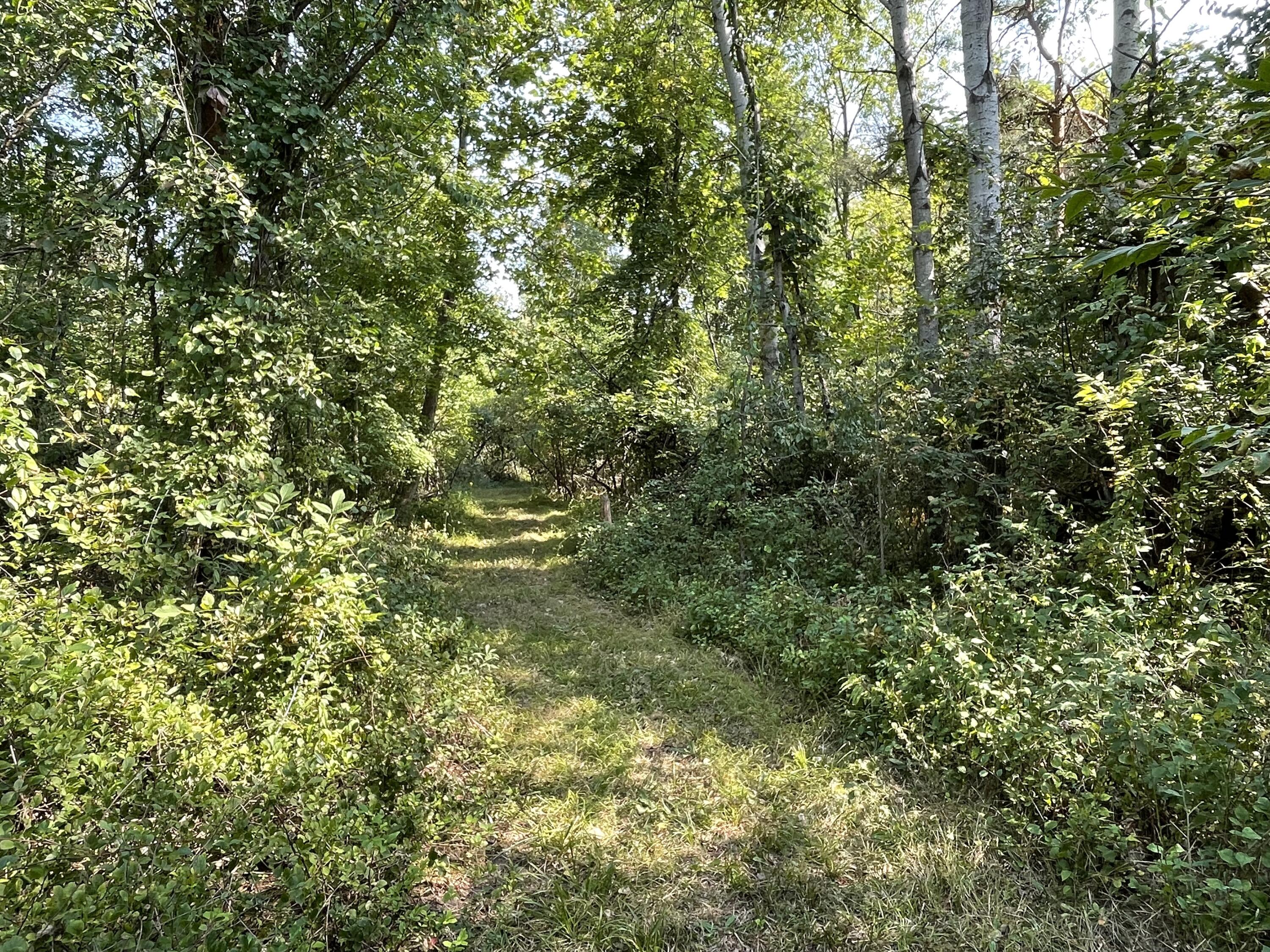 8934 State Road Fort Gratiot, MI 48059 - Photo 38 of 48 IMG_3069