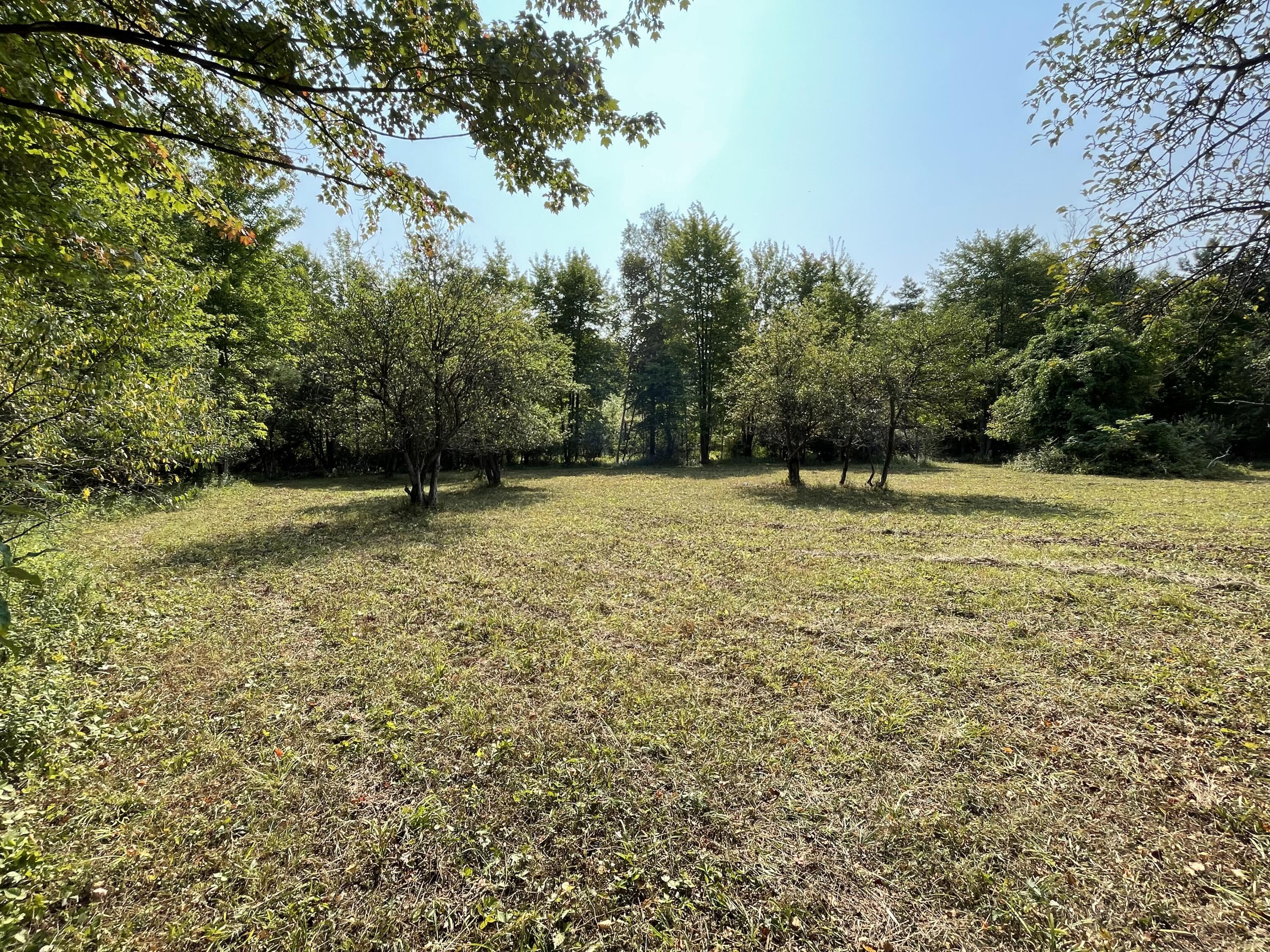 8934 State Road Fort Gratiot, MI 48059 - Photo 43 of 48 IMG_3083