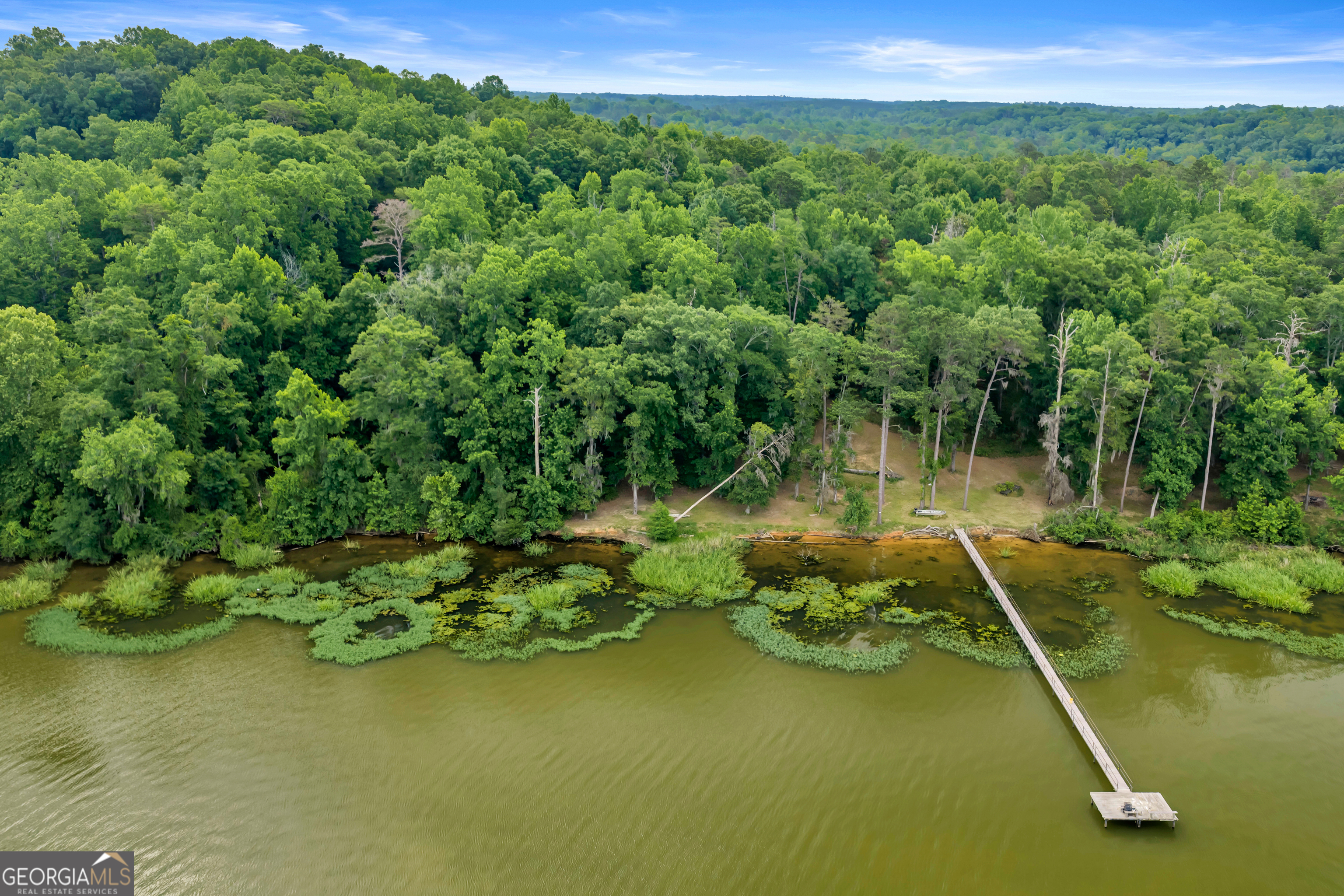 473 Vining Branch Road Georgetown, GA 39854 - Photo 27 of 43 a view of a lake with a city