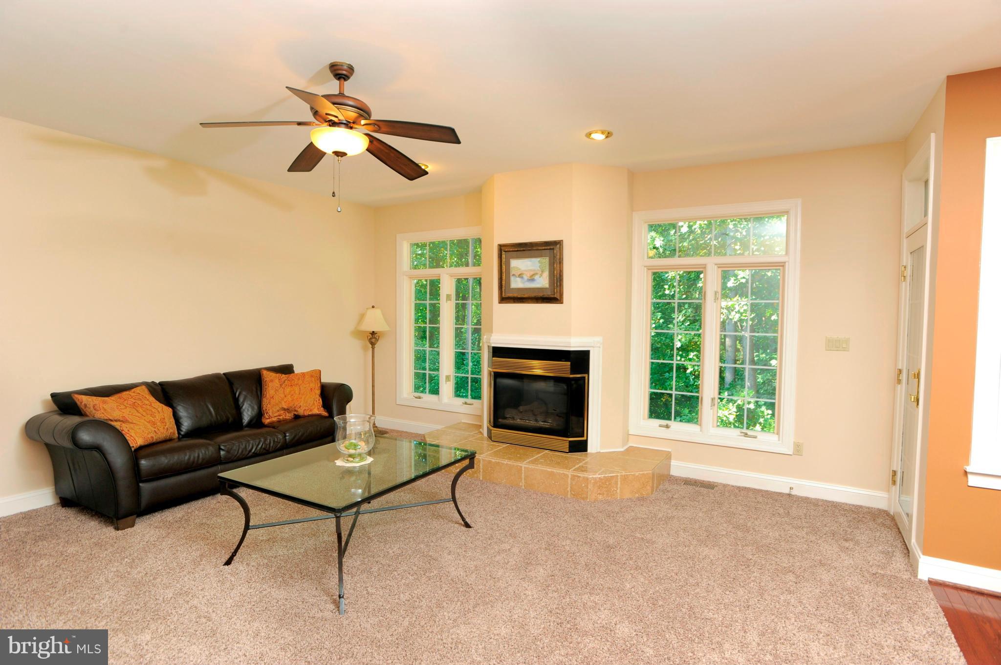1676 Campbell Road Forest Hill, MD 21050 - Photo 13 of 30 FAMILY ROOM WITH GAS FIREPLACE