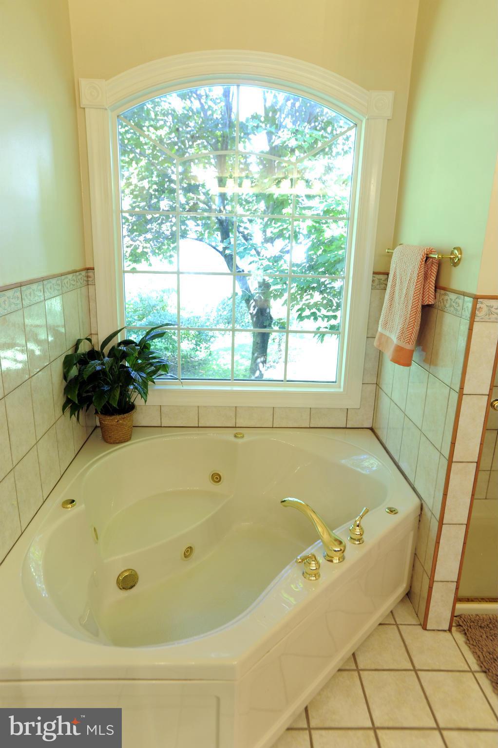 1676 Campbell Road Forest Hill, MD 21050 - Photo 19 of 30 JETTED SOAKING TUB