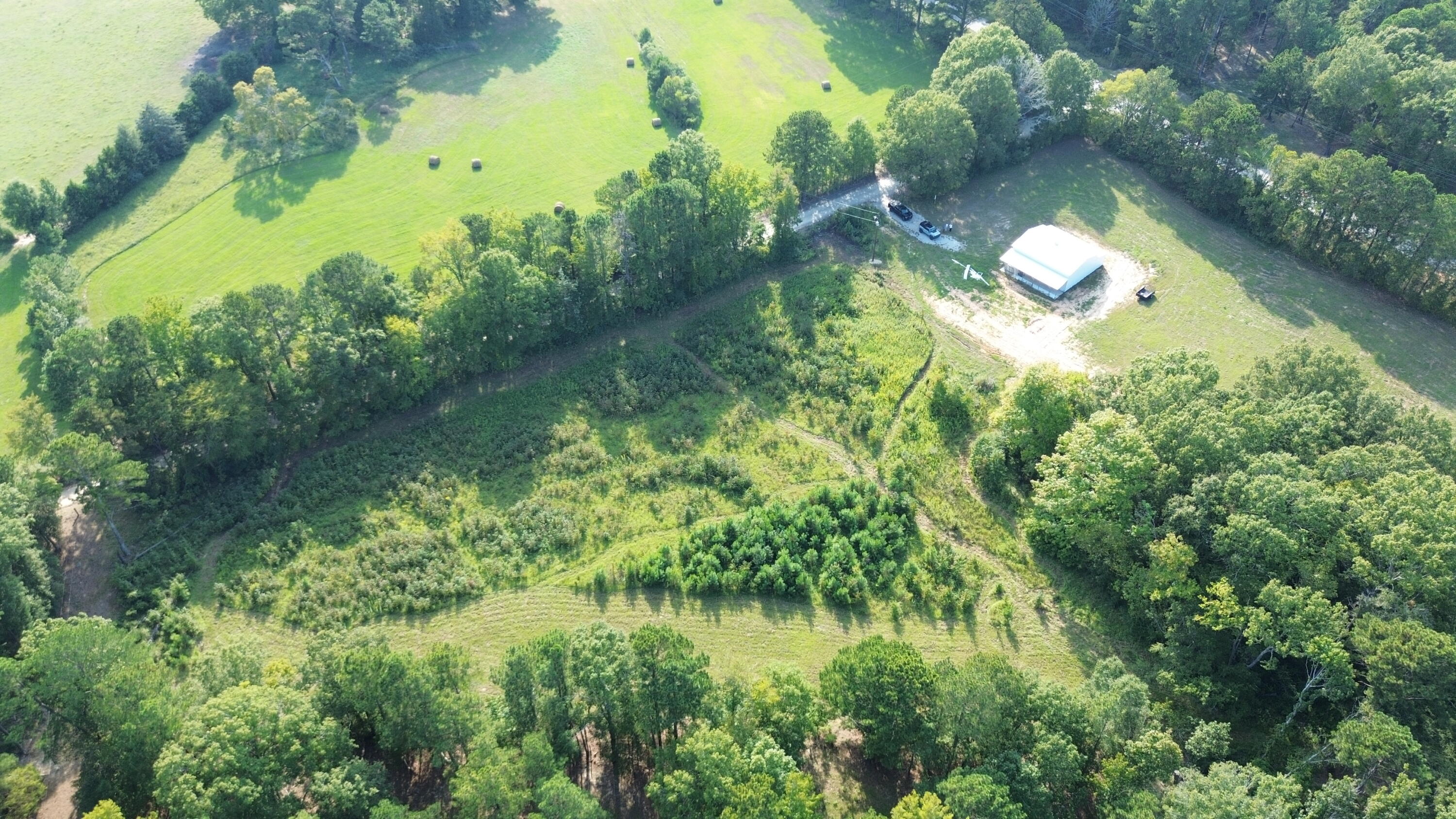 0 Bonner Road Lincolnton, GA 30817 - Photo 6 of 6 VG 3