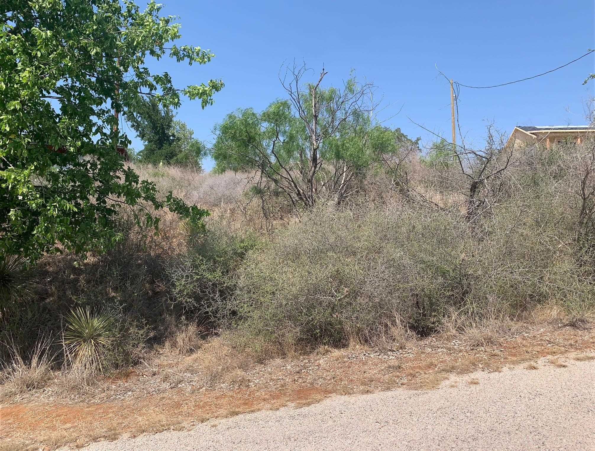 Sandy Mountain Drive Sunrise Beach, TX 78643 - Photo 11 of 14 a view of a dry yard with trees