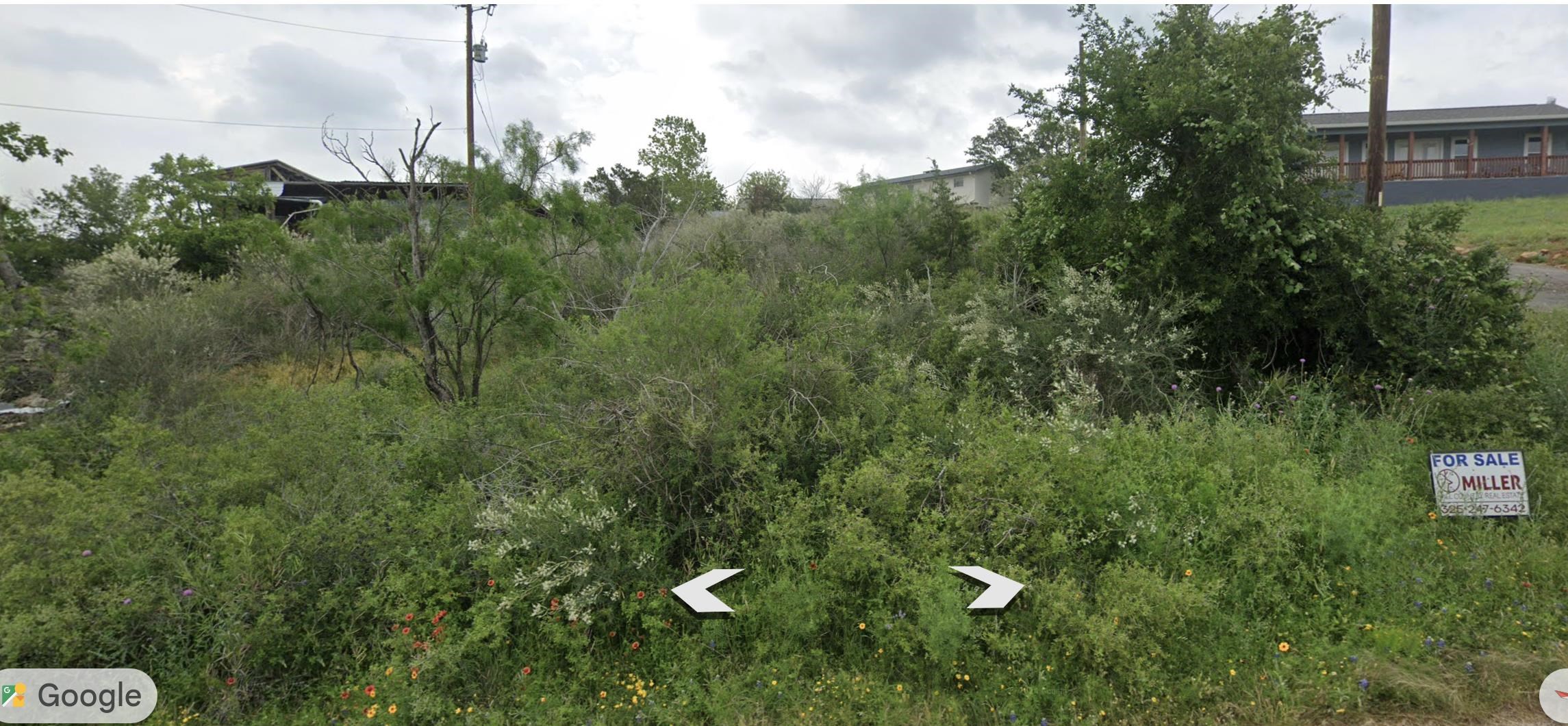 Sandy Mountain Drive Sunrise Beach, TX 78643 - Photo 13 of 14 a view of a lush green forest with lots of trees