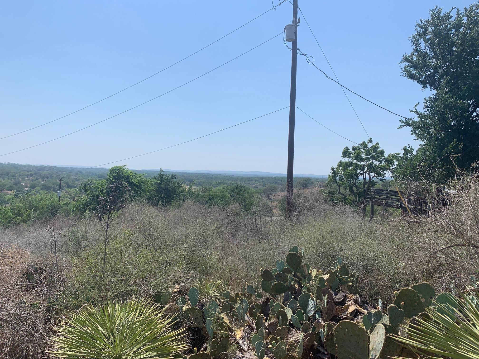 Sandy Mountain Drive Sunrise Beach, TX 78643 - Photo 14 of 14 a view of a forest filled with trees