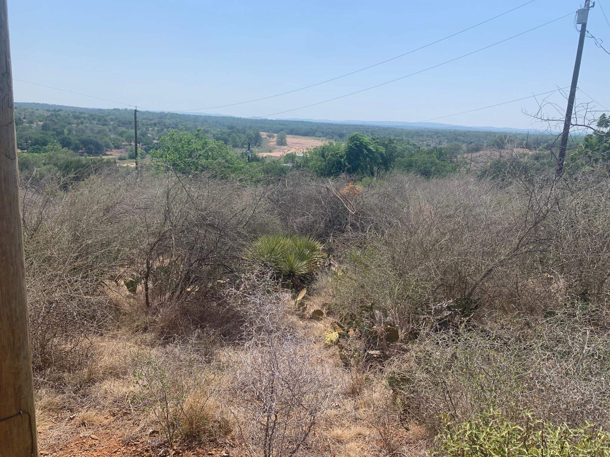 Sandy Mountain Drive Sunrise Beach, TX 78643 - Photo 6 of 14 a view of a field with trees in background