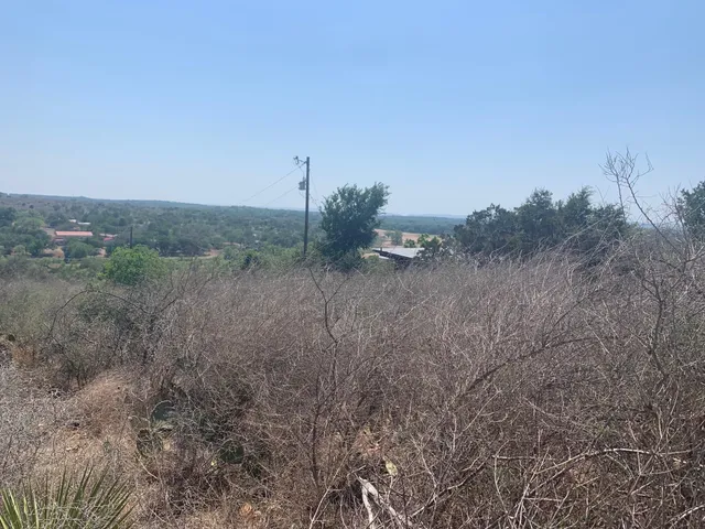 a view of a field of grass and trees