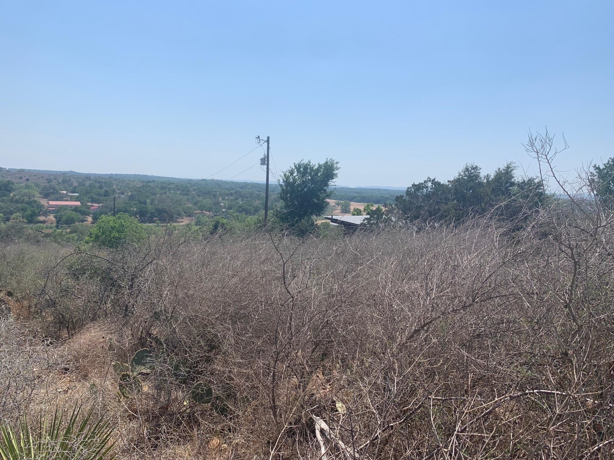 Sandy Mountain Drive Sunrise Beach, TX 78643 - Photo 8 of 14 a view of a dry yard with trees