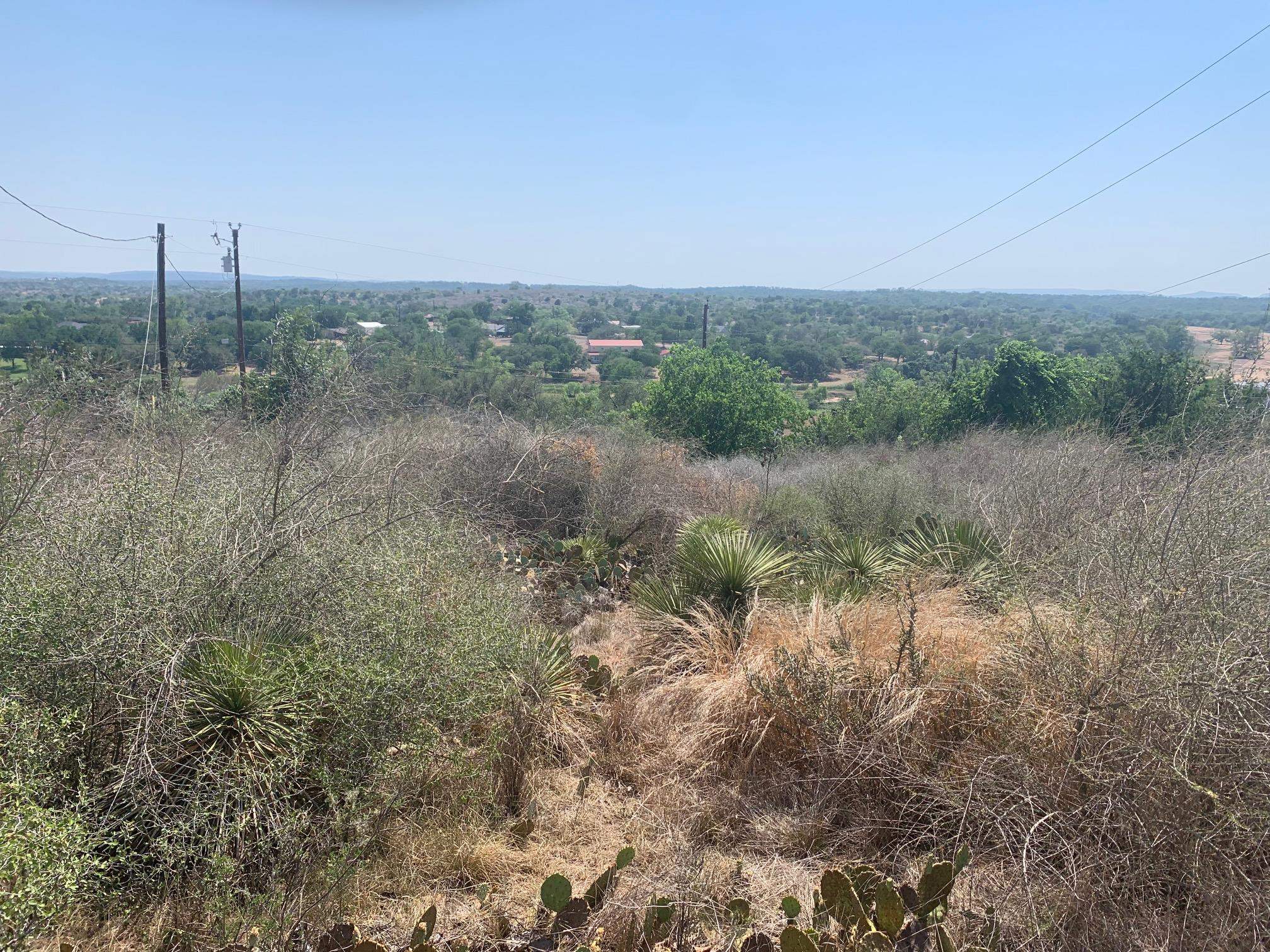 Sandy Mountain Drive Sunrise Beach, TX 78643 - Photo 9 of 14 a view of a field of grass and trees
