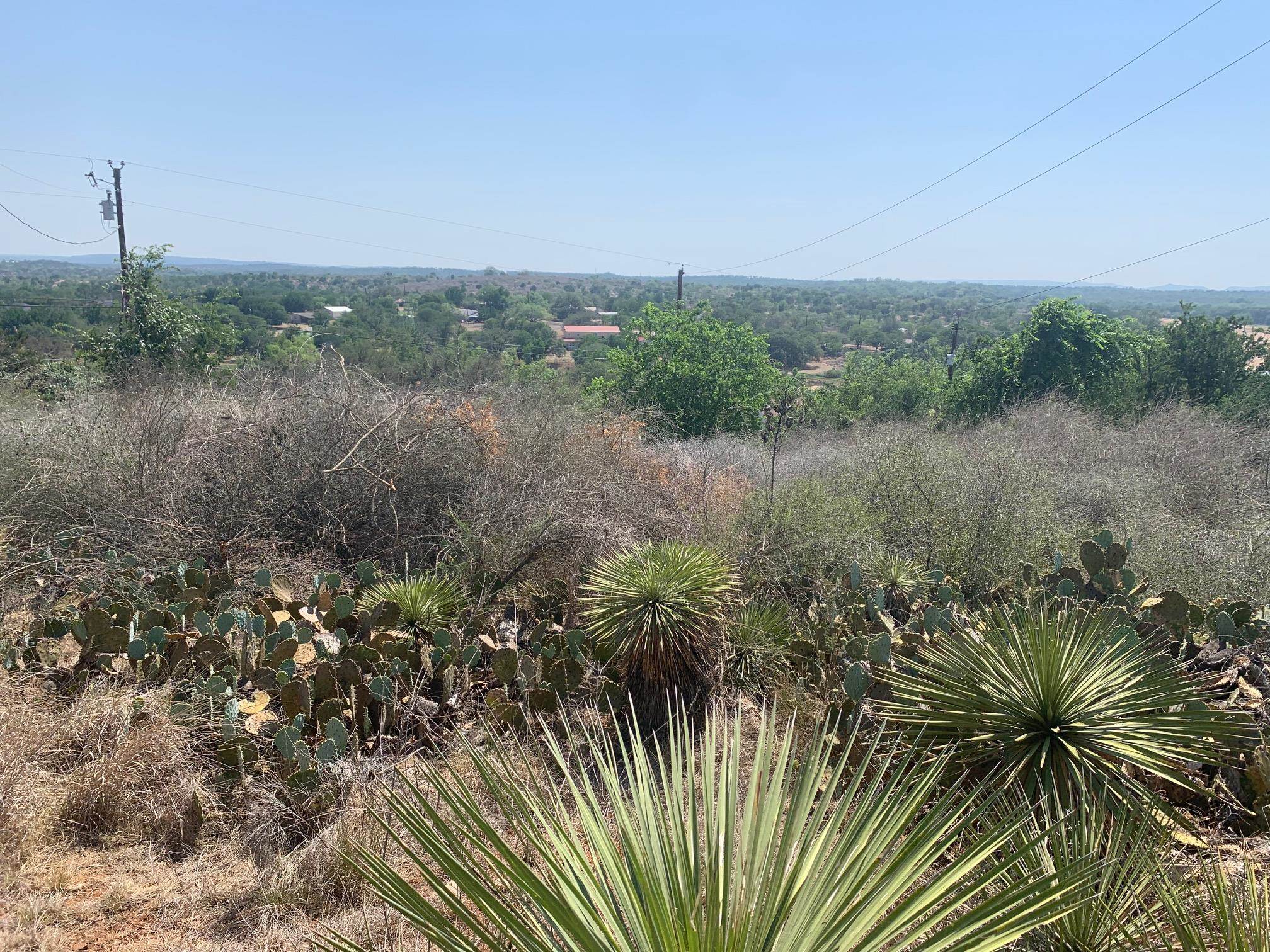 Sandy Mountain Drive Sunrise Beach, TX 78643 - Photo 10 of 14 a view of a lake with a yard