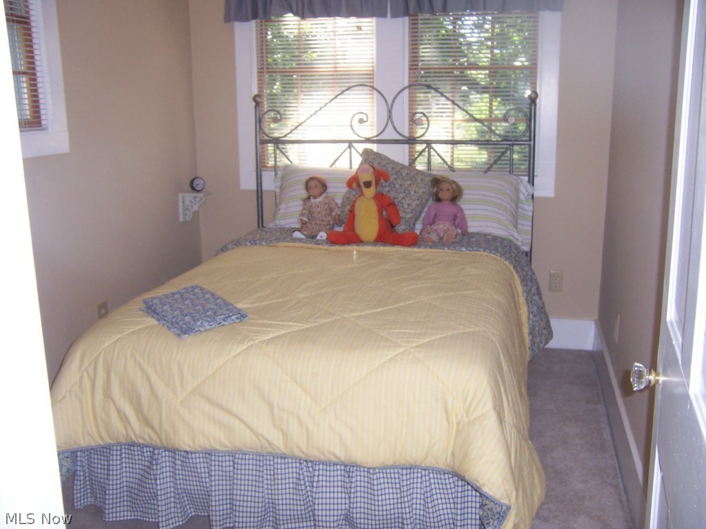 3917 Bates Road Madison, OH 44057 - Photo 19 of 25