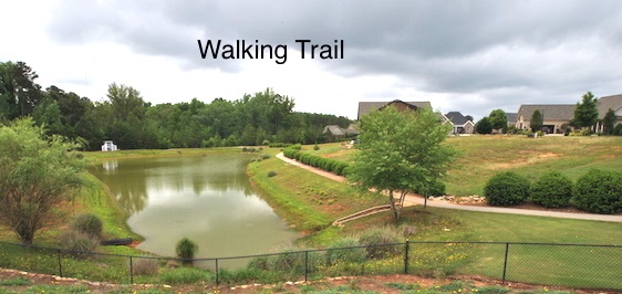 Lot 62 Angus Run Seneca, SC 29672 - Photo 3 of 10 Gallery Image 3
