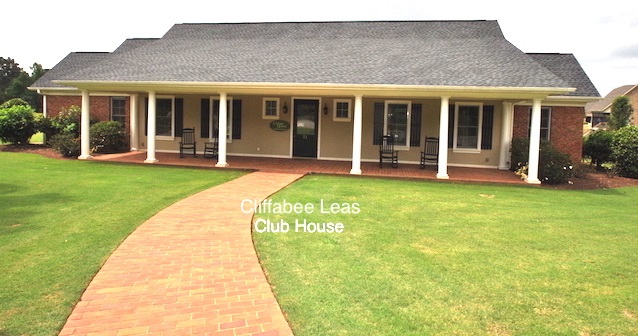 Lot 62 Angus Run Seneca, SC 29672 - Photo 4 of 10 Gallery Image 4