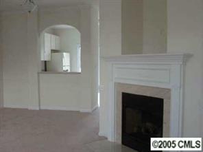 208 Dawn Mist Lane, Unit 208 Fort Mill, SC 29708 - Photo 3 of 6 a close view of cabinet and mirror