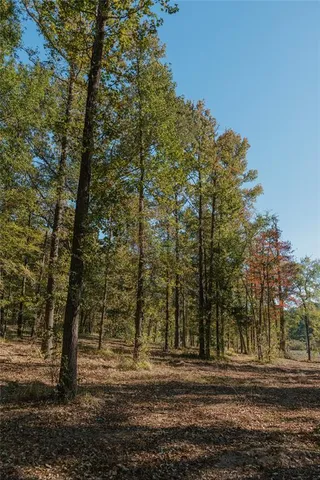 a view of a yard in front of a house