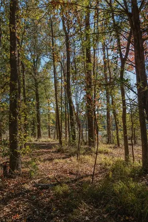 a view of outdoor space with trees