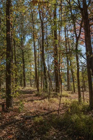 a view of outdoor space with trees