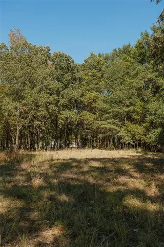 a view of beach and ocean