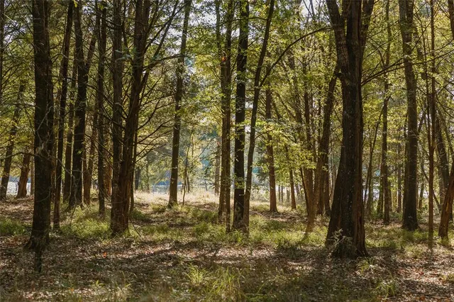 a view of outdoor space with lots of trees