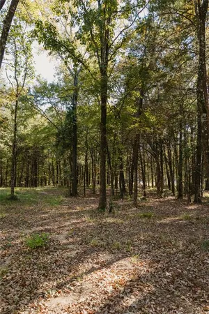 a view of outdoor space with trees