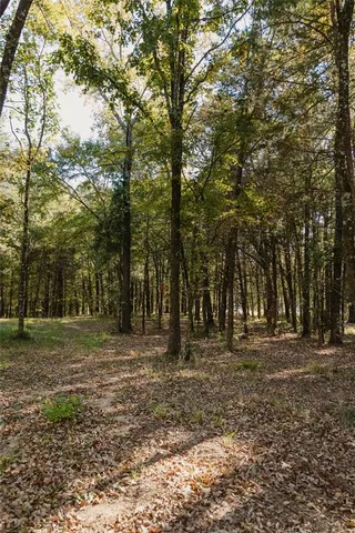 a view of outdoor space with trees
