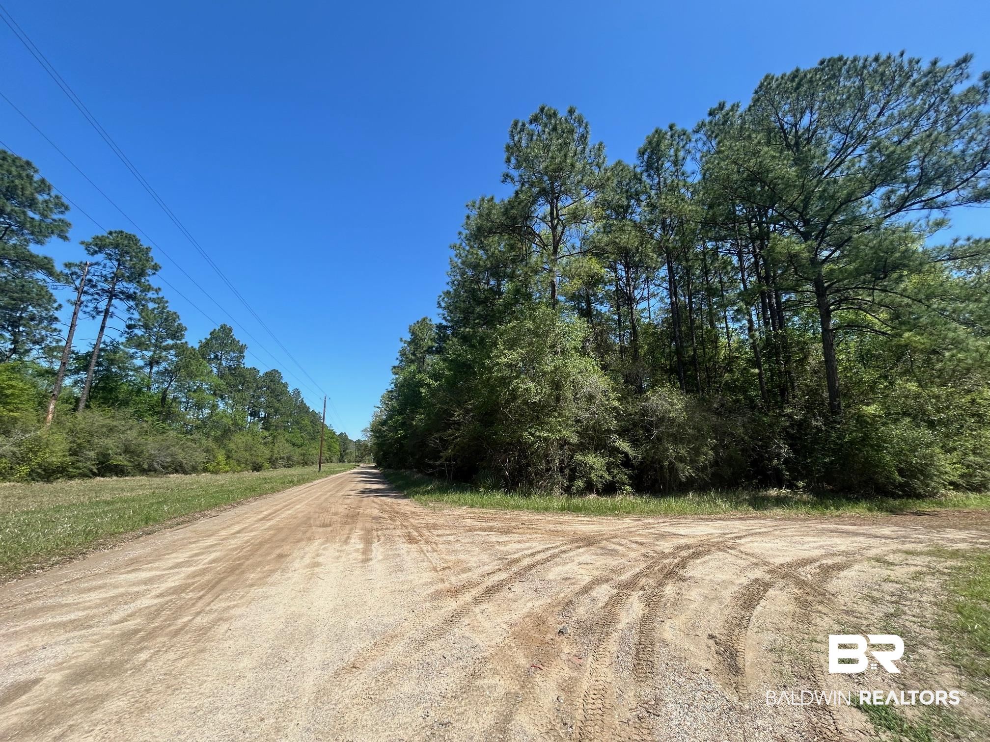 0 I-65 Service Road Creola, AL 36525 - Photo 20 of 20 View of road