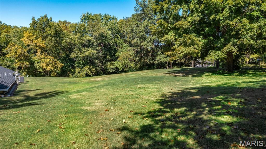 610 Rotary Street Gillespie, IL 62033 - Photo 47 of 65