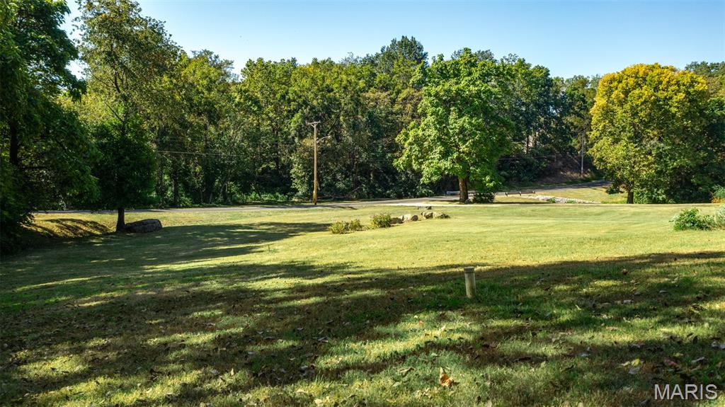 610 Rotary Street Gillespie, IL 62033 - Photo 53 of 65