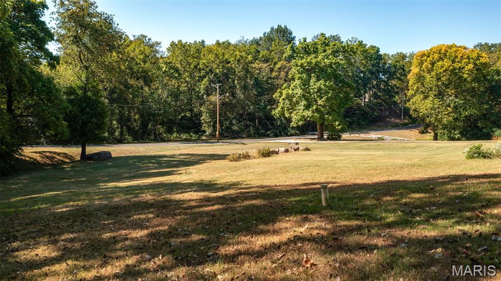 610 Rotary Street Gillespie, IL 62033 - Photo 54 of 65