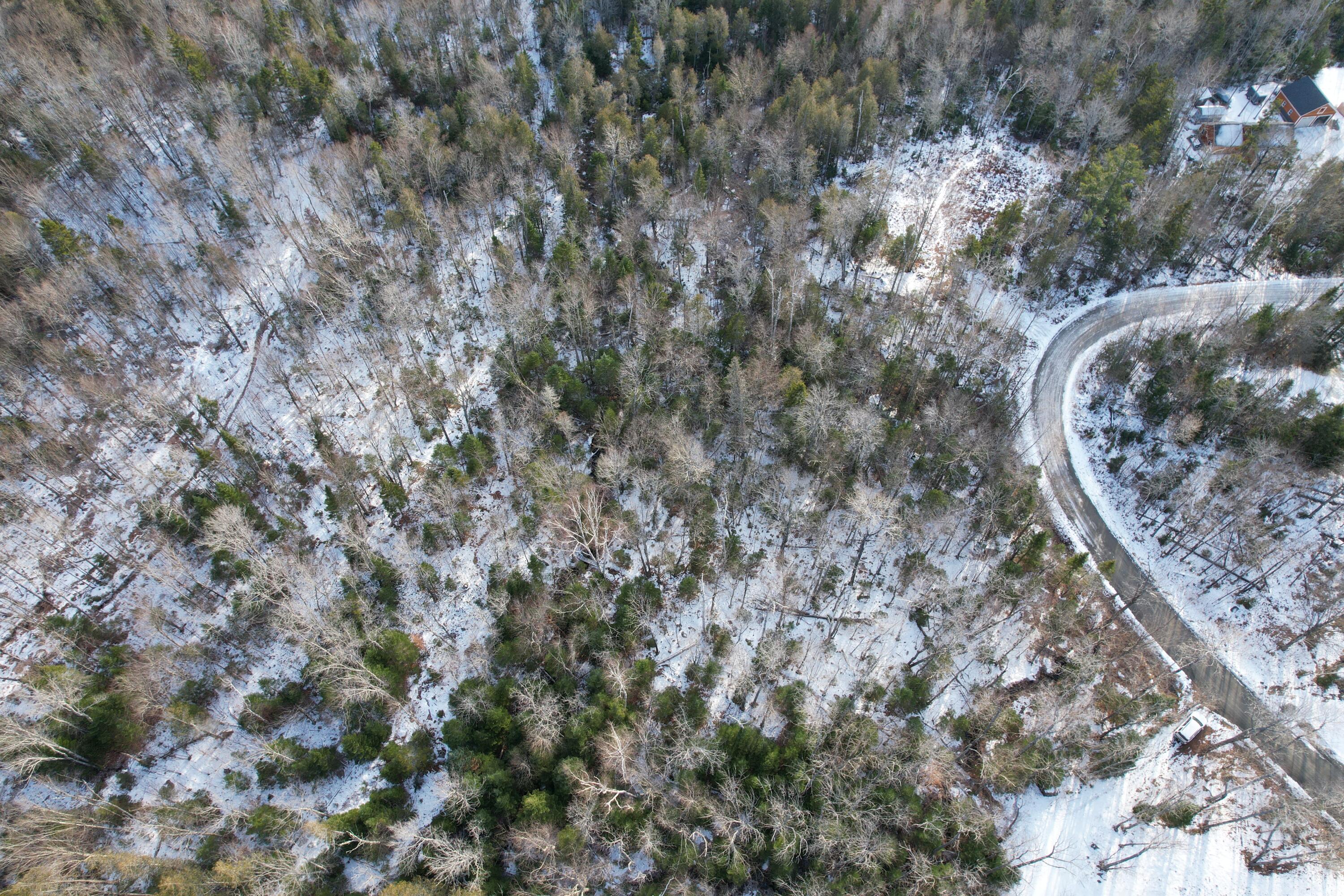 2037 Ridgeview Road Kingfield, ME 04947 - Photo 4 of 21 DJI_0793