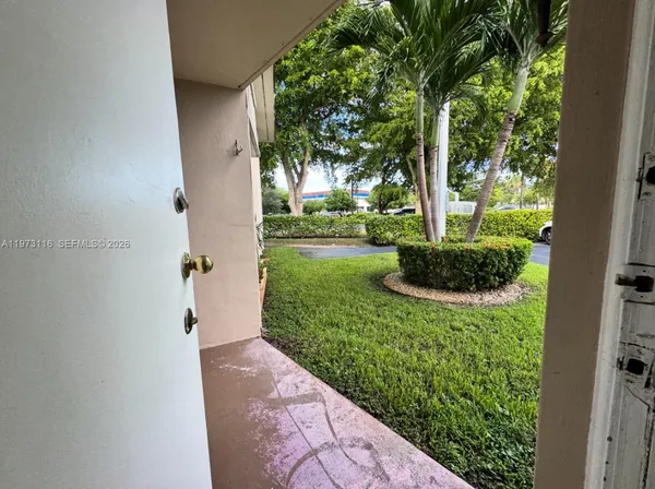 a view of a garden with plants