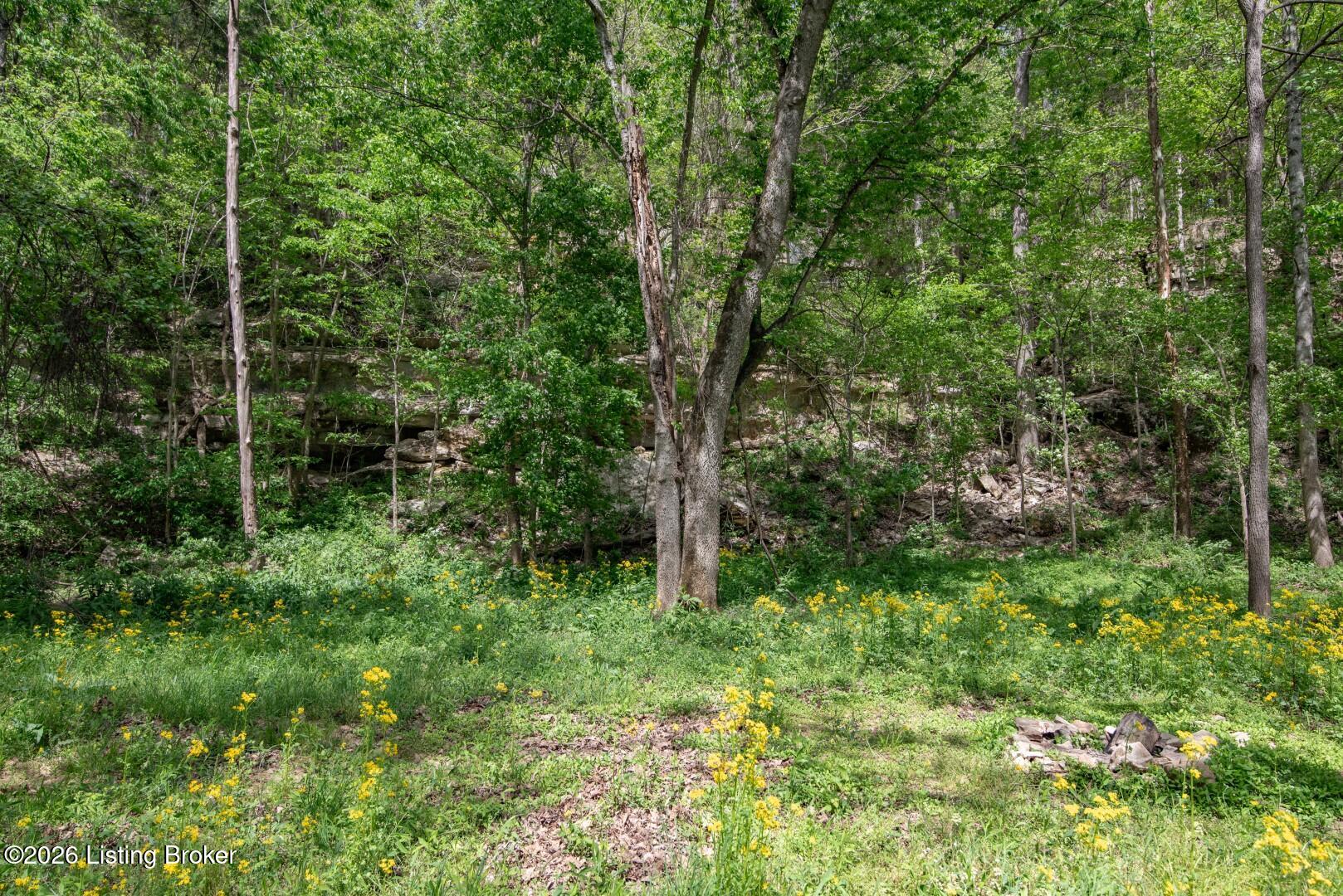 453 Cheslon Road Bonnieville, KY 42713 - Photo 42 of 45 453 Chelson Rd-87