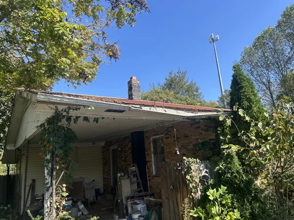 a view of a house with plants and a tree