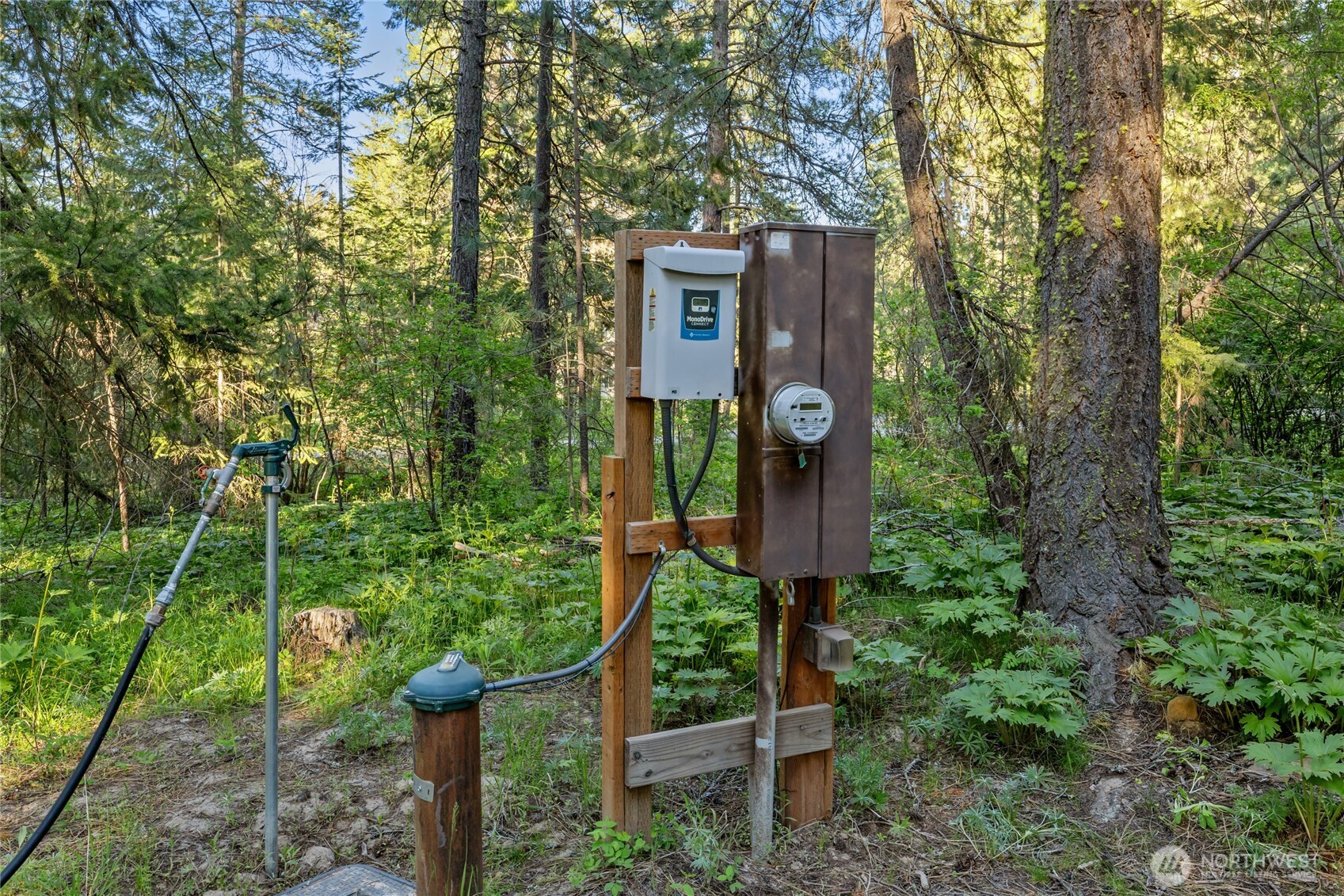 321 Graham Road Cle Elum, WA 98922 - Photo 6 of 33 Gallery Image 6