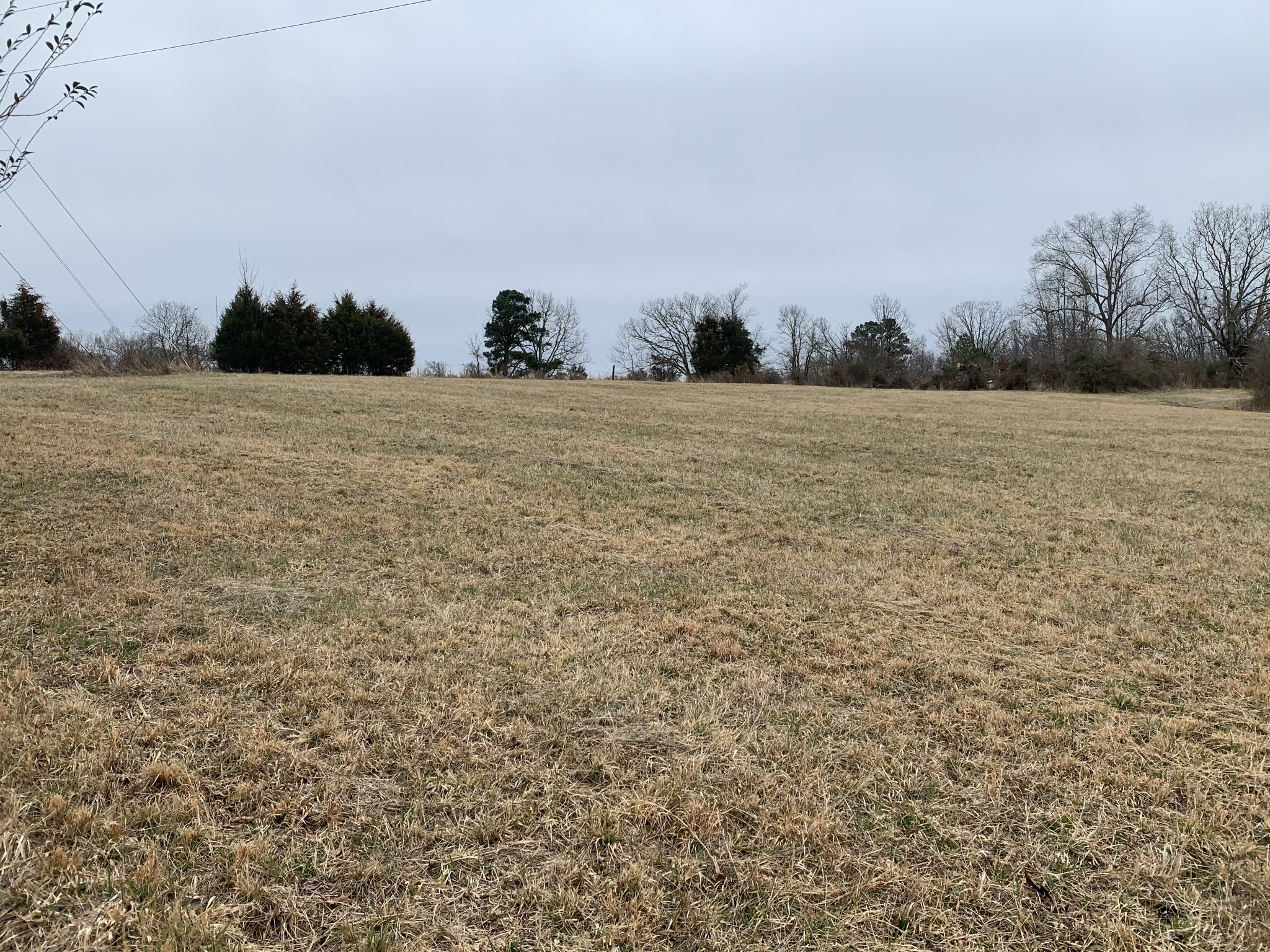 882 Ridge Road McEwen, TN 37101 - Photo 4 of 20 Gallery Image 4