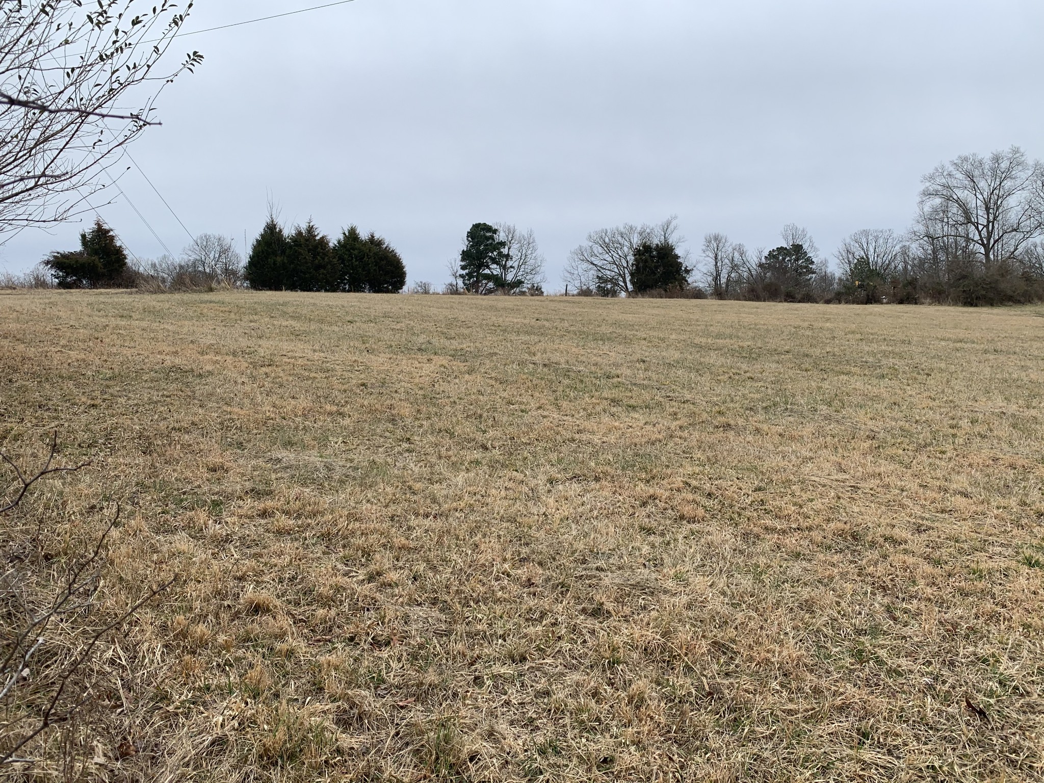 882 Ridge Road McEwen, TN 37101 - Photo 5 of 20 Gallery Image 5