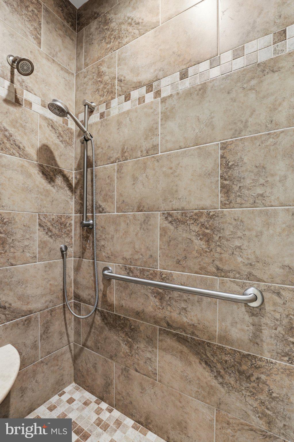 16932 Fitzgeralds Road Lincoln, DE 19960 - Photo 80 of 103 Elegant tiled shower with modern fixtures.