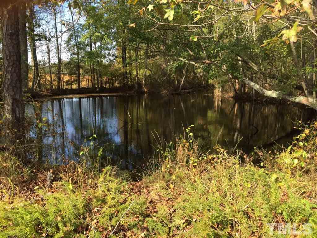 4501 Rolesville Road, Unit 1401 DAVISTOWN RD Wendell, NC 27591 - Photo 8 of 15 Gallery Image 8