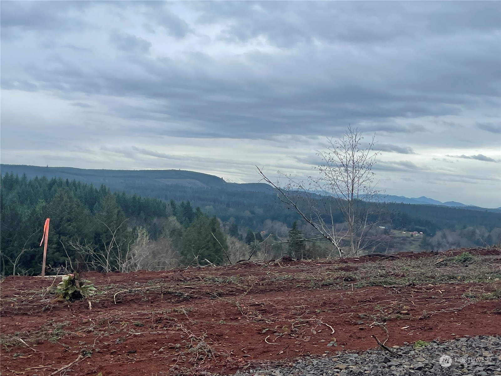 -lot R Olequa Heights Road Castle Rock, WA 98611 - Photo 9 of 23 Gallery Image 9