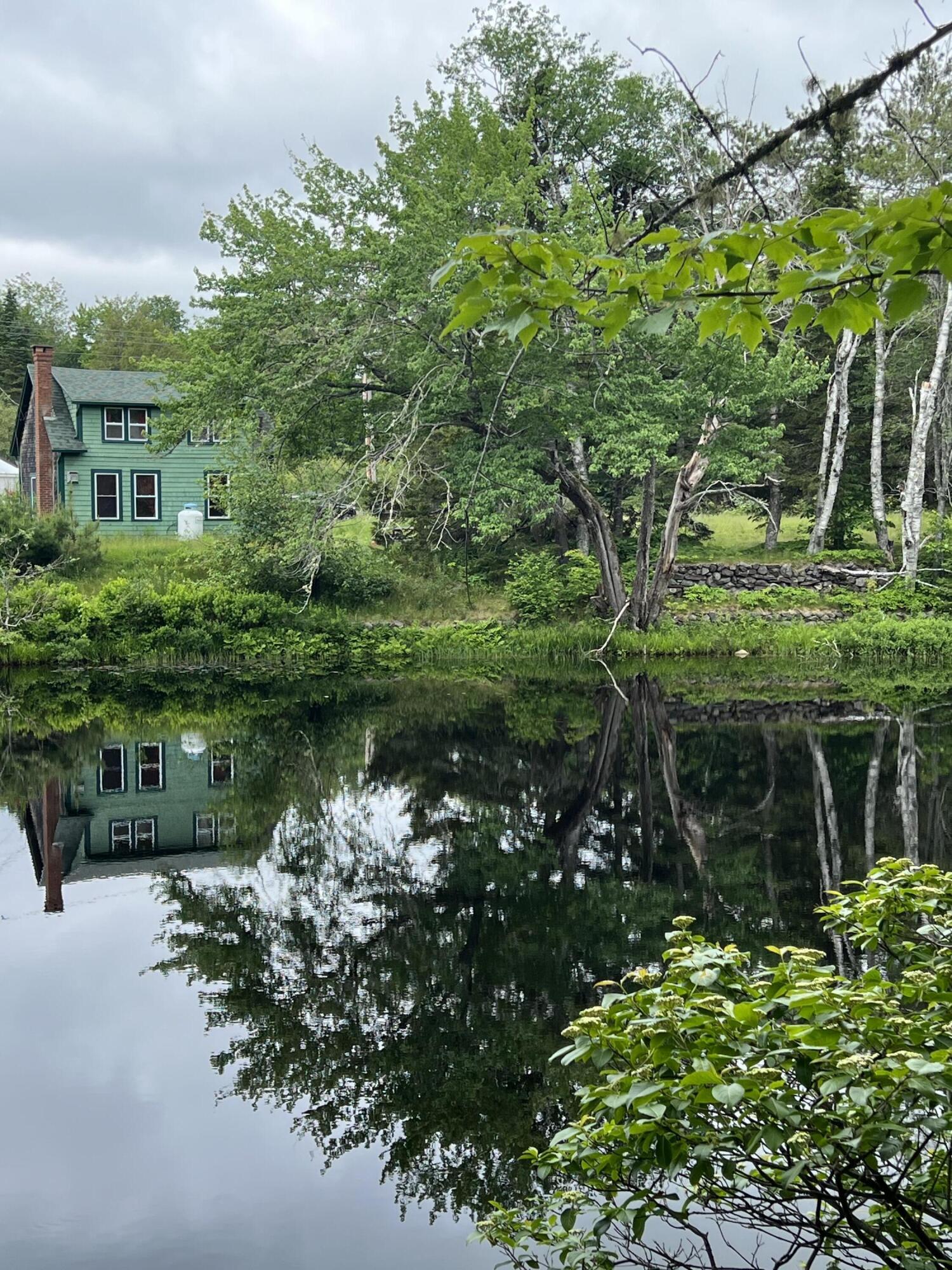 7 Mt Tom Road Pembroke, ME 04666 - Photo 28 of 41 IMG_9706