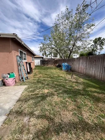 a view of a backyard with a large tree