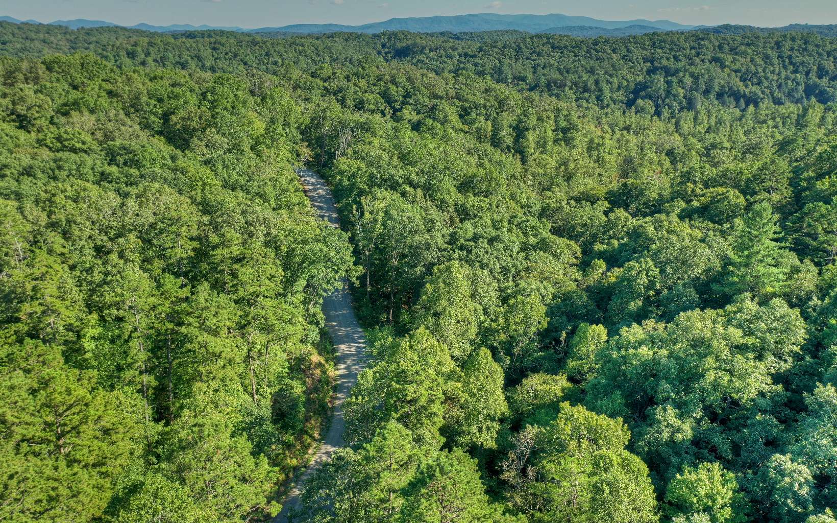 4 Toccoa Riverbend Estate Blue Ridge, GA 30513 - Photo 1 of 1 a view of a lush green forest with lots of trees