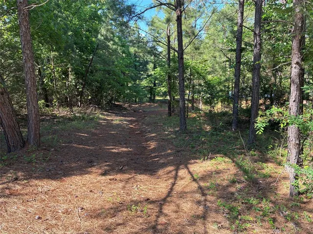 a view of a yard with large trees