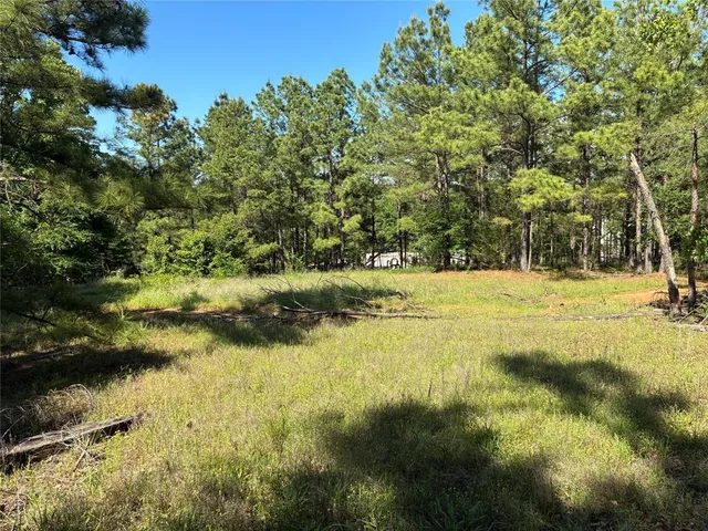 a view of swimming pool with yard