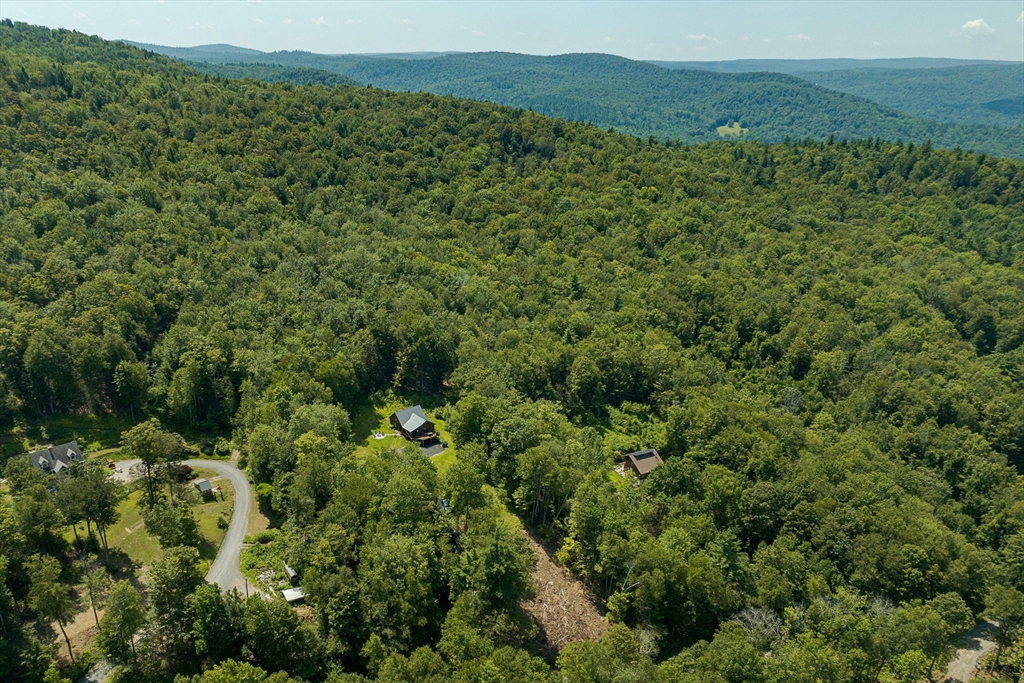 124 East Hawley Road Hawley, MA 01339 - Photo 30 of 39 a view of a forest with a street